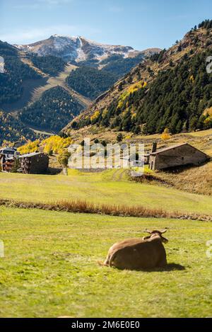 Herbst im Incles Valley, Andorra. Vall dÂ Incles, Andorra Stockfoto