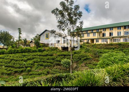 Haputale, Sri Lanka - 23. november 2019: Hauptbiulding in Teefabrik in Teeplantage in der Nähe von Haputal Stockfoto