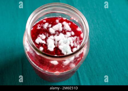 Pilze wachsen auf Marmelade. Verdorbenes Produkt in einem Glasgefäß. Blick von oben Stockfoto