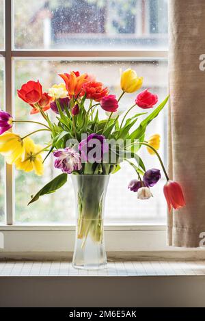Bunte Tulpen in einer Vase, Stockfoto