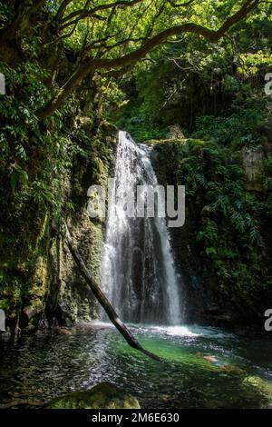 Machen Sie einen Spaziergang und entdecken Sie den Prego salto Wasserfall auf der Insel sao miguel, azoren Stockfoto