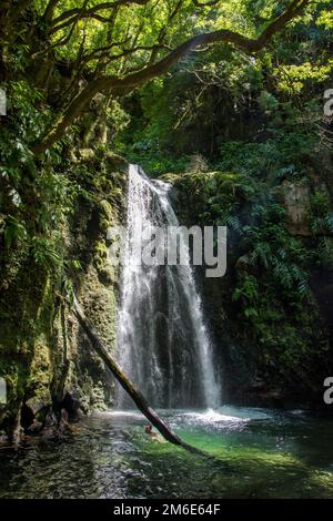 Machen Sie einen Spaziergang und entdecken Sie den Prego salto Wasserfall auf der Insel sao miguel, azoren Stockfoto