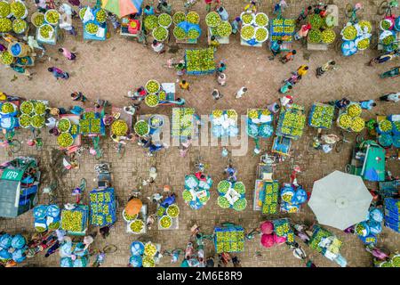 Rajshahi, Rajshahi, Bangladesch. 4. Januar 2023. Die Bauern radeln, um Mangos auf den Markt zu bringen. Nach dem Pflücken der Früchte Mangoanbauer bringen sie zum Markt, indem sie zwei Körbe auf beiden Seiten ihrer Fahrräder aufhängen. Das Tragen der Ladung mit dem Fahrrad ist eine harte Arbeit, da jeder Korb im Kansat, dem größten Mangogroßmarkt in Rajshahi Division in Bangladesch, über den täglich Mangomärkte stattfinden, ca. 40kg kg Mango enthält Im Sommer. (Bild: © Mustasinur Rahman Alvi/ZUMA Press Wire) Stockfoto