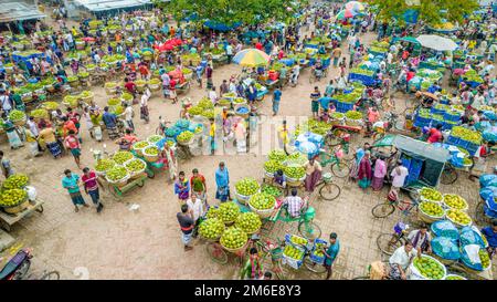 Rajshahi, Rajshahi, Bangladesch. 4. Januar 2023. Die Bauern radeln, um Mangos auf den Markt zu bringen. Nach dem Pflücken der Früchte Mangoanbauer bringen sie zum Markt, indem sie zwei Körbe auf beiden Seiten ihrer Fahrräder aufhängen. Das Tragen der Ladung mit dem Fahrrad ist eine harte Arbeit, da jeder Korb im Kansat, dem größten Mangogroßmarkt in Rajshahi Division in Bangladesch, über den täglich Mangomärkte stattfinden, ca. 40kg kg Mango enthält Im Sommer. (Bild: © Mustasinur Rahman Alvi/ZUMA Press Wire) Stockfoto
