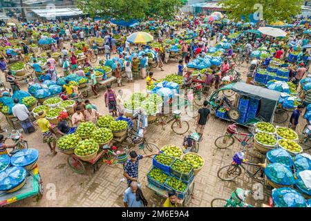 Rajshahi, Rajshahi, Bangladesch. 4. Januar 2023. Die Bauern radeln, um Mangos auf den Markt zu bringen. Nach dem Pflücken der Früchte Mangoanbauer bringen sie zum Markt, indem sie zwei Körbe auf beiden Seiten ihrer Fahrräder aufhängen. Das Tragen der Ladung mit dem Fahrrad ist eine harte Arbeit, da jeder Korb im Kansat, dem größten Mangogroßmarkt in Rajshahi Division in Bangladesch, über den täglich Mangomärkte stattfinden, ca. 40kg kg Mango enthält Im Sommer. (Bild: © Mustasinur Rahman Alvi/ZUMA Press Wire) Stockfoto