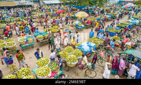 Rajshahi, Rajshahi, Bangladesch. 4. Januar 2023. Die Bauern radeln, um Mangos auf den Markt zu bringen. Nach dem Pflücken der Früchte Mangoanbauer bringen sie zum Markt, indem sie zwei Körbe auf beiden Seiten ihrer Fahrräder aufhängen. Das Tragen der Ladung mit dem Fahrrad ist eine harte Arbeit, da jeder Korb im Kansat, dem größten Mangogroßmarkt in Rajshahi Division in Bangladesch, über den täglich Mangomärkte stattfinden, ca. 40kg kg Mango enthält Im Sommer. (Bild: © Mustasinur Rahman Alvi/ZUMA Press Wire) Stockfoto