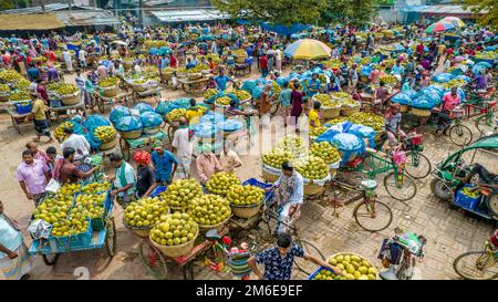 Rajshahi, Rajshahi, Bangladesch. 4. Januar 2023. Die Bauern radeln, um Mangos auf den Markt zu bringen. Nach dem Pflücken der Früchte Mangoanbauer bringen sie zum Markt, indem sie zwei Körbe auf beiden Seiten ihrer Fahrräder aufhängen. Das Tragen der Ladung mit dem Fahrrad ist eine harte Arbeit, da jeder Korb im Kansat, dem größten Mangogroßmarkt in Rajshahi Division in Bangladesch, über den täglich Mangomärkte stattfinden, ca. 40kg kg Mango enthält Im Sommer. (Bild: © Mustasinur Rahman Alvi/ZUMA Press Wire) Stockfoto