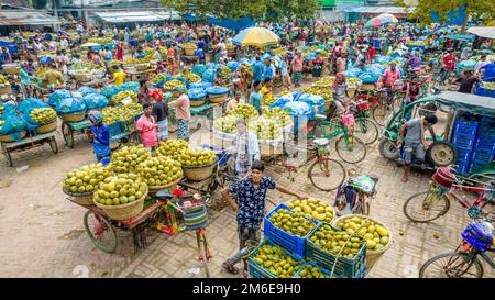 Rajshahi, Rajshahi, Bangladesch. 4. Januar 2023. Die Bauern radeln, um Mangos auf den Markt zu bringen. Nach dem Pflücken der Früchte Mangoanbauer bringen sie zum Markt, indem sie zwei Körbe auf beiden Seiten ihrer Fahrräder aufhängen. Das Tragen der Ladung mit dem Fahrrad ist eine harte Arbeit, da jeder Korb im Kansat, dem größten Mangogroßmarkt in Rajshahi Division in Bangladesch, über den täglich Mangomärkte stattfinden, ca. 40kg kg Mango enthält Im Sommer. (Bild: © Mustasinur Rahman Alvi/ZUMA Press Wire) Stockfoto