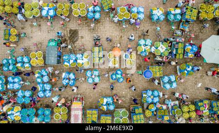 Rajshahi, Rajshahi, Bangladesch. 4. Januar 2023. Die Bauern radeln, um Mangos auf den Markt zu bringen. Nach dem Pflücken der Früchte Mangoanbauer bringen sie zum Markt, indem sie zwei Körbe auf beiden Seiten ihrer Fahrräder aufhängen. Das Tragen der Ladung mit dem Fahrrad ist eine harte Arbeit, da jeder Korb im Kansat, dem größten Mangogroßmarkt in Rajshahi Division in Bangladesch, über den täglich Mangomärkte stattfinden, ca. 40kg kg Mango enthält Im Sommer. (Bild: © Mustasinur Rahman Alvi/ZUMA Press Wire) Stockfoto