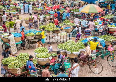 Rajshahi, Rajshahi, Bangladesch. 4. Januar 2023. Die Bauern radeln, um Mangos auf den Markt zu bringen. Nach dem Pflücken der Früchte Mangoanbauer bringen sie zum Markt, indem sie zwei Körbe auf beiden Seiten ihrer Fahrräder aufhängen. Das Tragen der Ladung mit dem Fahrrad ist eine harte Arbeit, da jeder Korb im Kansat, dem größten Mangogroßmarkt in Rajshahi Division in Bangladesch, über den täglich Mangomärkte stattfinden, ca. 40kg kg Mango enthält Im Sommer. (Bild: © Mustasinur Rahman Alvi/ZUMA Press Wire) Stockfoto