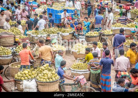 Rajshahi, Rajshahi, Bangladesch. 4. Januar 2023. Die Bauern radeln, um Mangos auf den Markt zu bringen. Nach dem Pflücken der Früchte Mangoanbauer bringen sie zum Markt, indem sie zwei Körbe auf beiden Seiten ihrer Fahrräder aufhängen. Das Tragen der Ladung mit dem Fahrrad ist eine harte Arbeit, da jeder Korb im Kansat, dem größten Mangogroßmarkt in Rajshahi Division in Bangladesch, über den täglich Mangomärkte stattfinden, ca. 40kg kg Mango enthält Im Sommer. (Bild: © Mustasinur Rahman Alvi/ZUMA Press Wire) Stockfoto