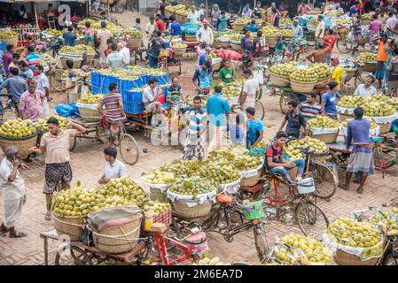 Rajshahi, Rajshahi, Bangladesch. 4. Januar 2023. Die Bauern radeln, um Mangos auf den Markt zu bringen. Nach dem Pflücken der Früchte Mangoanbauer bringen sie zum Markt, indem sie zwei Körbe auf beiden Seiten ihrer Fahrräder aufhängen. Das Tragen der Ladung mit dem Fahrrad ist eine harte Arbeit, da jeder Korb im Kansat, dem größten Mangogroßmarkt in Rajshahi Division in Bangladesch, über den täglich Mangomärkte stattfinden, ca. 40kg kg Mango enthält Im Sommer. (Bild: © Mustasinur Rahman Alvi/ZUMA Press Wire) Stockfoto