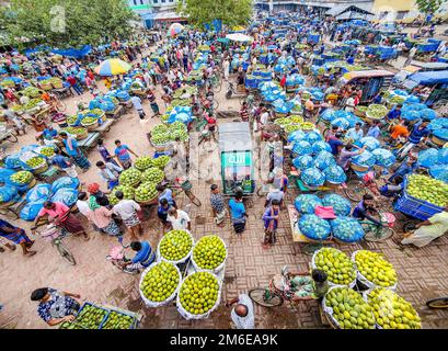 Rajshahi, Rajshahi, Bangladesch. 4. Januar 2023. Die Bauern radeln, um Mangos auf den Markt zu bringen. Nach dem Pflücken der Früchte Mangoanbauer bringen sie zum Markt, indem sie zwei Körbe auf beiden Seiten ihrer Fahrräder aufhängen. Das Tragen der Ladung mit dem Fahrrad ist eine harte Arbeit, da jeder Korb im Kansat, dem größten Mangogroßmarkt in Rajshahi Division in Bangladesch, über den täglich Mangomärkte stattfinden, ca. 40kg kg Mango enthält Im Sommer. (Bild: © Mustasinur Rahman Alvi/ZUMA Press Wire) Stockfoto