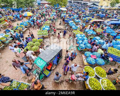Rajshahi, Rajshahi, Bangladesch. 4. Januar 2023. Die Bauern radeln, um Mangos auf den Markt zu bringen. Nach dem Pflücken der Früchte Mangoanbauer bringen sie zum Markt, indem sie zwei Körbe auf beiden Seiten ihrer Fahrräder aufhängen. Das Tragen der Ladung mit dem Fahrrad ist eine harte Arbeit, da jeder Korb im Kansat, dem größten Mangogroßmarkt in Rajshahi Division in Bangladesch, über den täglich Mangomärkte stattfinden, ca. 40kg kg Mango enthält Im Sommer. (Bild: © Mustasinur Rahman Alvi/ZUMA Press Wire) Stockfoto