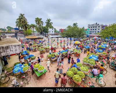 Rajshahi, Rajshahi, Bangladesch. 4. Januar 2023. Die Bauern radeln, um Mangos auf den Markt zu bringen. Nach dem Pflücken der Früchte Mangoanbauer bringen sie zum Markt, indem sie zwei Körbe auf beiden Seiten ihrer Fahrräder aufhängen. Das Tragen der Ladung mit dem Fahrrad ist eine harte Arbeit, da jeder Korb im Kansat, dem größten Mangogroßmarkt in Rajshahi Division in Bangladesch, über den täglich Mangomärkte stattfinden, ca. 40kg kg Mango enthält Im Sommer. (Bild: © Mustasinur Rahman Alvi/ZUMA Press Wire) Stockfoto