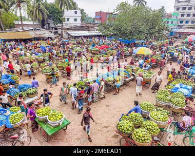 Rajshahi, Rajshahi, Bangladesch. 4. Januar 2023. Die Bauern radeln, um Mangos auf den Markt zu bringen. Nach dem Pflücken der Früchte Mangoanbauer bringen sie zum Markt, indem sie zwei Körbe auf beiden Seiten ihrer Fahrräder aufhängen. Das Tragen der Ladung mit dem Fahrrad ist eine harte Arbeit, da jeder Korb im Kansat, dem größten Mangogroßmarkt in Rajshahi Division in Bangladesch, über den täglich Mangomärkte stattfinden, ca. 40kg kg Mango enthält Im Sommer. (Bild: © Mustasinur Rahman Alvi/ZUMA Press Wire) Stockfoto