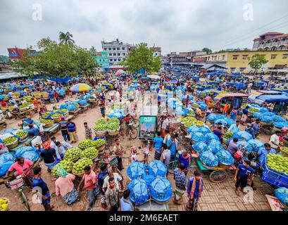 Rajshahi, Rajshahi, Bangladesch. 4. Januar 2023. Die Bauern radeln, um Mangos auf den Markt zu bringen. Nach dem Pflücken der Früchte Mangoanbauer bringen sie zum Markt, indem sie zwei Körbe auf beiden Seiten ihrer Fahrräder aufhängen. Das Tragen der Ladung mit dem Fahrrad ist eine harte Arbeit, da jeder Korb im Kansat, dem größten Mangogroßmarkt in Rajshahi Division in Bangladesch, über den täglich Mangomärkte stattfinden, ca. 40kg kg Mango enthält Im Sommer. (Bild: © Mustasinur Rahman Alvi/ZUMA Press Wire) Stockfoto