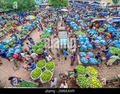 Rajshahi, Rajshahi, Bangladesch. 4. Januar 2023. Die Bauern radeln, um Mangos auf den Markt zu bringen. Nach dem Pflücken der Früchte Mangoanbauer bringen sie zum Markt, indem sie zwei Körbe auf beiden Seiten ihrer Fahrräder aufhängen. Das Tragen der Ladung mit dem Fahrrad ist eine harte Arbeit, da jeder Korb im Kansat, dem größten Mangogroßmarkt in Rajshahi Division in Bangladesch, über den täglich Mangomärkte stattfinden, ca. 40kg kg Mango enthält Im Sommer. (Bild: © Mustasinur Rahman Alvi/ZUMA Press Wire) Stockfoto