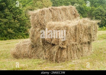 Strohballen auf gemähter Bergwiese Stockfoto