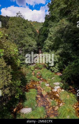 Sistelo, Portugal: Kristallklares Wasser vom Fluss Vez - kleiner Bach mit Steinen in einem tiefen Tal zwischen den Bergen - Wandern, Na Stockfoto