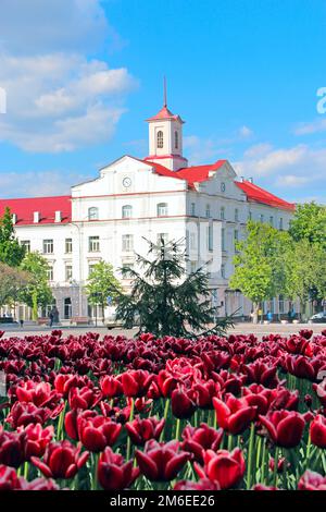 Blumenbeet-Dekoration. Viele Tulpen wachsen in der Stadt. Wunderschöne Frühlingstulpen auf Blumenbeet in der Stadt in bri Stockfoto