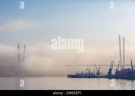 Hafen Wladiwostok. Verschiedene Handelsschiffe stehen auf dem Straßenstead in der Bucht des Goldenen Horns in Wladiwostok bei starkem Nebel Stockfoto