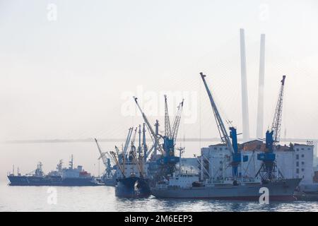 Hafen Wladiwostok. Verschiedene Handelsschiffe stehen auf dem Straßenstead in der Bucht des Goldenen Horns in Wladiwostok bei starkem Nebel Stockfoto