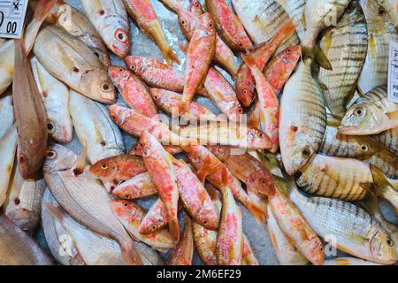 Ein Detail, Blick von oben auf einige der lokalen Fische, die zum Verkauf angeboten werden, auf einem Tablett mit Eis in einem Stall. Auf dem Tavira Markt, Mercado in Tavira, Algarve, Po Stockfoto