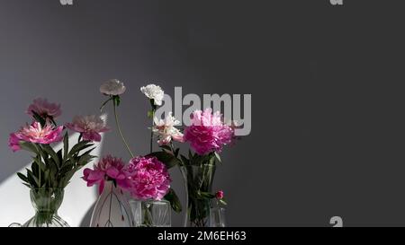 Blumenpfingstrose in einer Vase in einem Heim Stockfoto