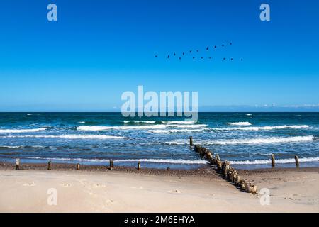 Groynes An Der Ostseeküste Bei Kühlungsborn. Stockfoto
