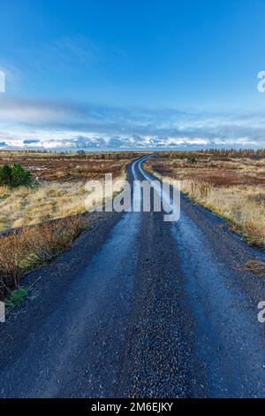 Herbstlandschaft rund um Husavik in Nordisland Stockfoto