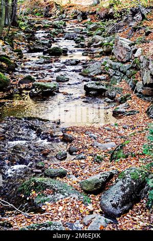 Ilsetal nahe Ilsenburg im Harz; Ilse bei Ilsenbur im Harzgebirge, Deutschland Stockfoto