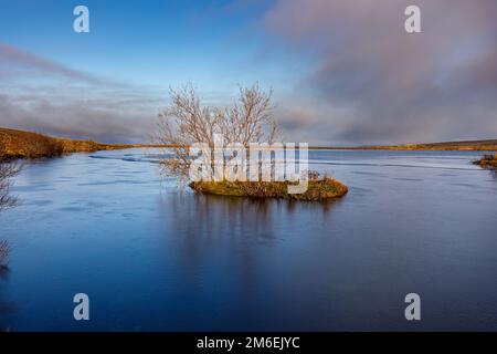 Herbstlandschaft rund um Husavik in Nordisland Stockfoto