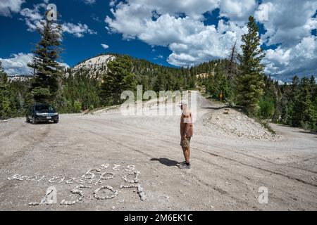 Mann mit Blick auf das Schild mit der Schindel des verlorenen Hundes auf der Straßenoberfläche an der Kreuzung von FR 17, FR 143 und FR 140. Escalante Mountains, Utah, USA Stockfoto