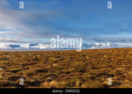 Herbstlandschaft rund um Husavik in Nordisland Stockfoto