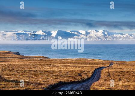 Herbstlandschaft rund um Husavik in Nordisland Stockfoto