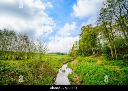 Kleiner Bach in einer ländlichen grünen Landschaft im Sommer mit blauem Himmel darüber Stockfoto