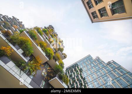 Stadtbild mit hohen Gebäuden, die im Herbst mit grünen Pflanzen und kleinen Bäumen bedeckt sind Stockfoto