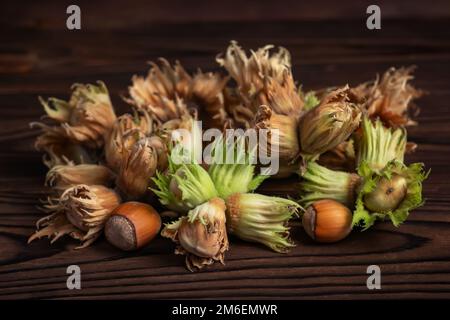 Organische frische Haselnüsse auf Holzhintergrund – Nahaufnahme. Stockfoto