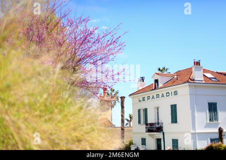 Grasse, Viertel Le Bon Marché, Parc naturel des Prealpes d'Azur, Alpes Maritimes, 06, PACA Stockfoto