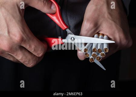 Rauchverbot-Konzept - Nahaufnahme einer Schere, die viele Zigaretten zerschneidet. Stockfoto