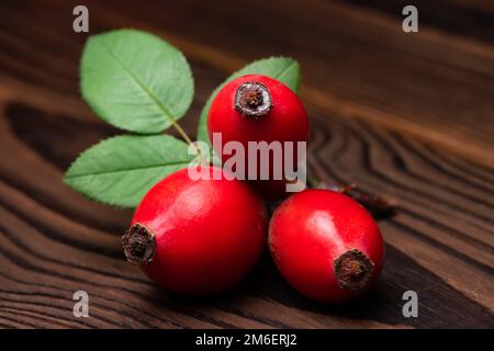 Hunderose mit Rosehips-Zweig, Typ Rosa Canina Hüften. Arzneipflanzen- und Kräuterzusammensetzung. Stockfoto