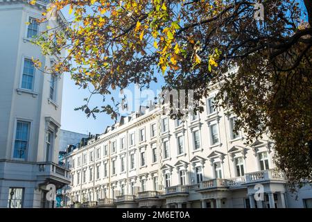 Blick von oben auf die gehobenen Londoner Stadthäuser in der Gegend von Pimlico in Westminster Stockfoto