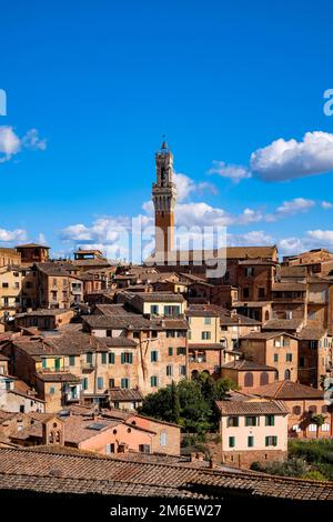 Panoramablick auf Siena mit Ziegeldächern, Duomo und Torre del Mangia - Toskana, Italien Stockfoto