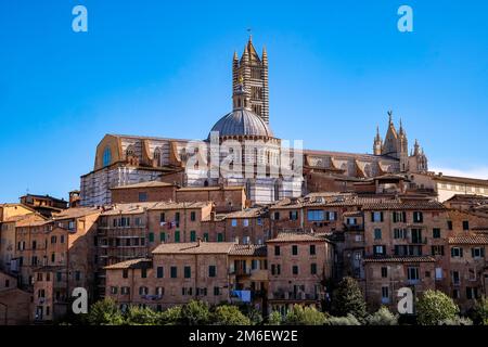 Panoramablick auf Siena mit Ziegeldächern, Duomo und Torre del Mangia - Toskana, Italien Stockfoto