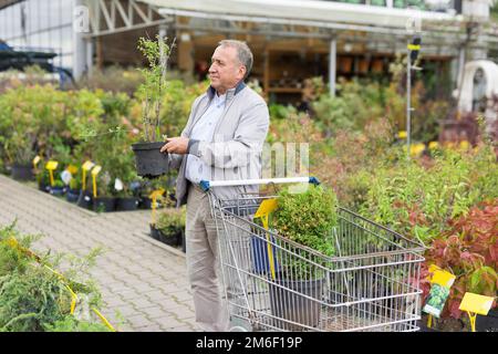 Kaukasischer Mann, der Sprossen im Gartencenter auswählt Stockfoto