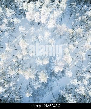 Wunderschöne Winterwald Luftaufnahme Stockfoto