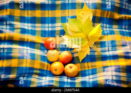 Reife Äpfel und gelbe Blätter auf einer Decke in einem Käfig. Stockfoto