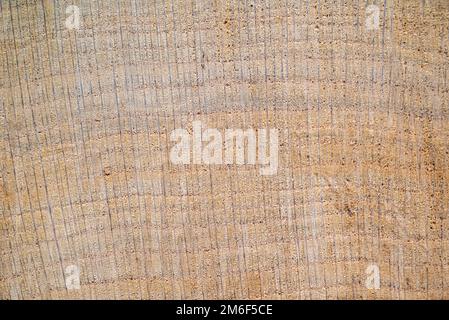 Nahaufnahmen von Holzstrukturen. Baumstamm schneiden.Jahresringe auf einem geschnittenen Baum Nahaufnahme.Holzherz zur Dekoration.Holzhintergrund.Holz Vorderansicht. Stockfoto