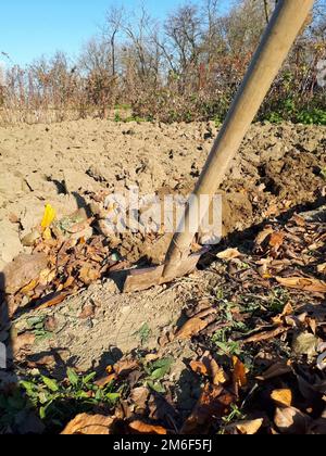 Das Land im Garten zu graben. Die Schaufel steckt im Boden fest Stockfoto